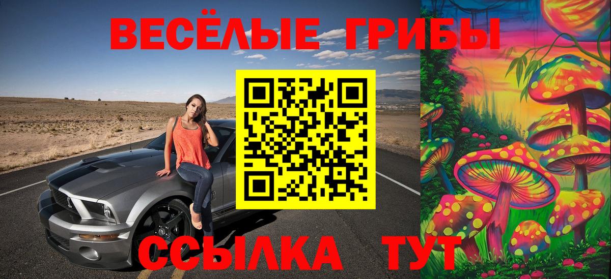 Петрозаводск  Псилоцибиновые грибы MAGIC MUSHROOMS  Вход с VPN 